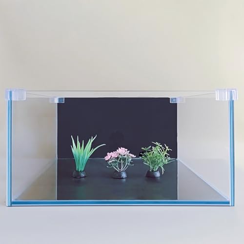 3.5 Gallon Fish Tank 30 * 30 * 15CM- Low Iron Glass Aquarium with Non-Slip Mat, Background Paper & Corner Protectors | Betta, Turtle, Shrimp Habitat Kit | Beginner Friendly Small Aquarium - size: 30*30*15CM