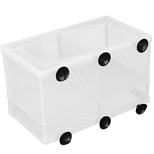Fish Breeding Aquarium Box, Multifunctional Fish Breeder Box for Small Fish, Large with Partition - size: Large with partition