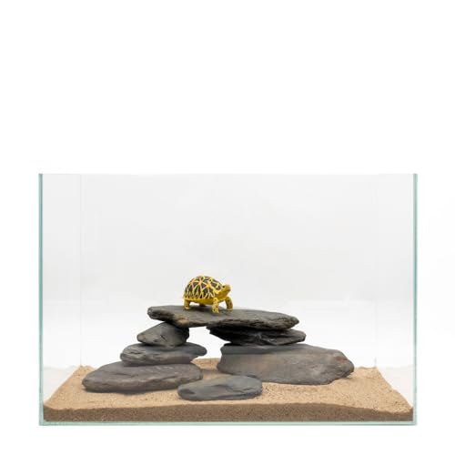 Aquarium Stone Natural Slate Stream Turtle Tank Rocks 3-7 inches Fish Rock for Aquarium Aquascaping Shrimp Tanks Amphibian Enclosures Paludarium-5lb - size: 5lb(3-7inch)