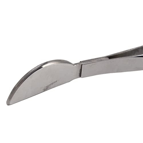 TOPINCN Bonsai Tweezers, Stainless Steel Long Plant Tweezers with Moon Spatula Head, Home Garden Potted Loosening Soil Plan Grass (Straight)