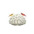 CTWPets Shrimp Dome Hide - Aquarium Cherry Shrimp Hide Cherry Shimpe Hide (White) - color: White