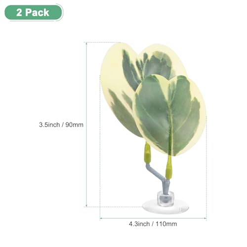 M METERXITY 2-Pack Betta Fish Leaf Pad, Hammock Plant Leaf Pad, Realistic Resting Fish Rest Bed for Fish Tank Decorations/Aquarium Accessories/Breeding [Green and White, Grape Leaves-Shaped] - color: Green and White