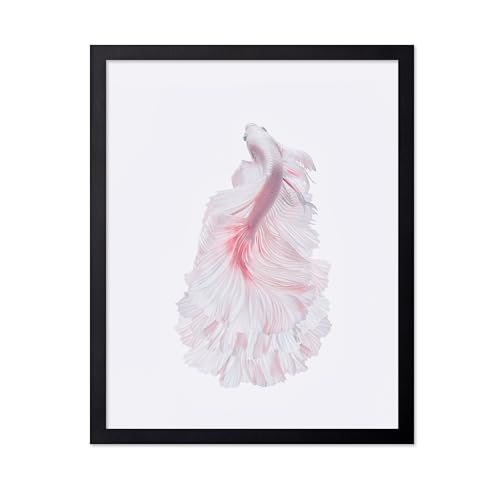 Monem Art Siamese Fighting Fish Print - The White Dress Poster - Marine Life Art - Animal Photography Wall Decor - Living Room or Office Decor - 8x10 Unframed Wall Art by Andi Halil - color: Style-02, size: 8"L x 10"W