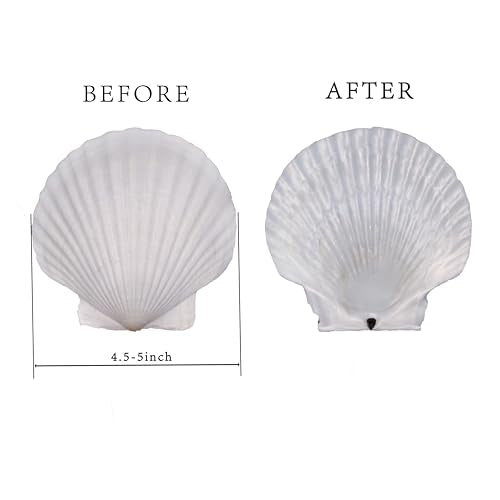 6PCS Natural Seashells 4.5"-5" White DIY Scallop Shells for Home Decor - Sea Shells for Painting, Baking, Beach Party, Fish Tank, Ocean Crafts, Beach Wedding Decor - color: 6pcs