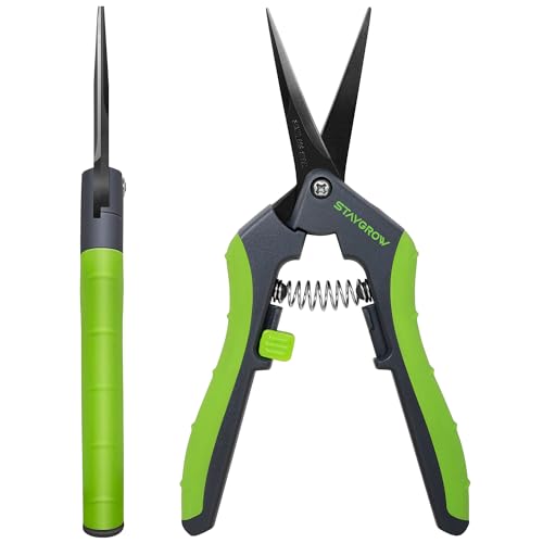6.5" Gardening Scissors, Sharp Plant Trimming Scissors for Precise Cuts, Stainless Steel Pruning Shears Bonsai Clippers (2-Pack Straight) - style: 6.5" Straight*2