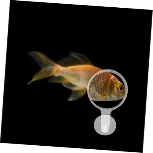 Abaodam Acrylic Fish Tank Magnifying Glass with Strong Suction Cup for Clear Observation of Small Animals Plants and Micro Landscapes in Aquariums and Home Tanks