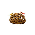 CTWPets Shrimp Dome Hide - Aquarium Cherry Shrimp Hide Cherry Shimpe Hide (Light Brown) - color: Light Brown