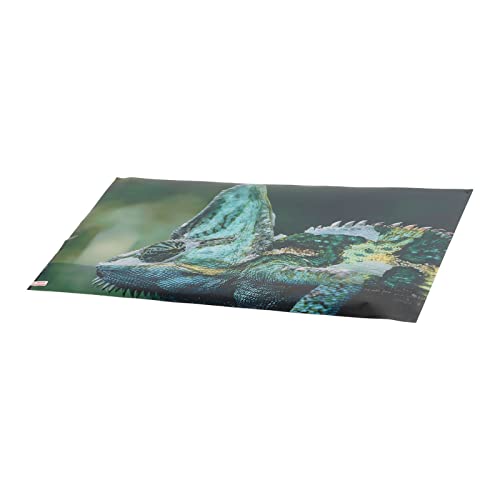 Aquarium Background PVC 3D Effects Fish Tank Decoration Picture, Self Adhesive Aquarium Sticker with Realistic Design, Non Durable Background for Freshwater (61 * 41CM) - size: 61*41CM