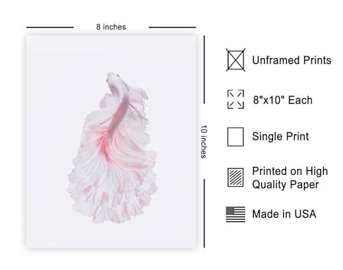 Monem Art Siamese Fighting Fish Print - The White Dress Poster - Marine Life Art - Animal Photography Wall Decor - Living Room or Office Decor - 8x10 Unframed Wall Art by Andi Halil - color: Style-02, size: 8"L x 10"W