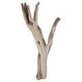Koyal Wholesale 12” Driftwood Terrarium Decor, Clean California Manzanita Drift Wood Reptile Decor, Driftwood Decor for Home, Desert Reptile Supplies