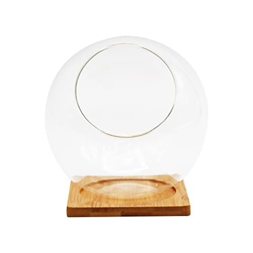 Plant Terrarium Display Glass with Bamboo mat, Tabletop Succulent Air Plant Planter Globe, Mini Terrarium Garden, Round Beveled Glass vase, Micro Landscape eco vase,for Succulents, Air Plants, Moss