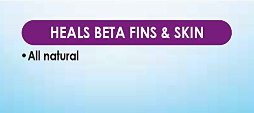 API BETTAFIX Antibacterial & Antifungal Betta Fish Infection and Fungus Remedy 1.7-Ounce Bottle - size: 1.7 Fl Oz (Pack of 1)