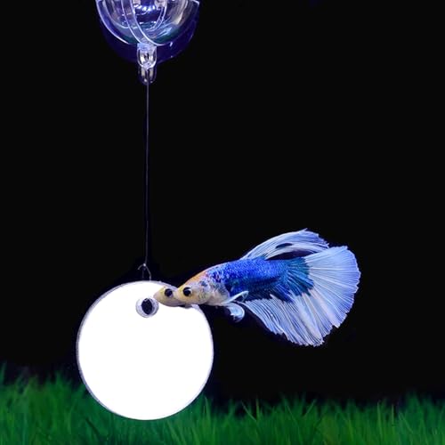 Jowxsx 1 Set 7cm Betta Training Mirror Fish for Tank Fish Antidepressant Work Out 7cm Special for Betta Fitness Mirror Betta Toys Mirror Aquarium Decor