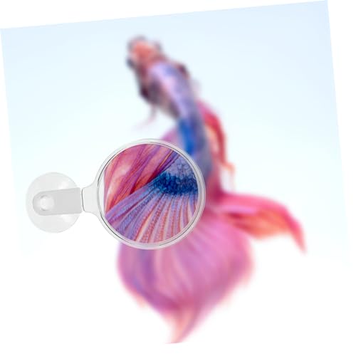 BESPORTBLE Cup Glass for Fish Tanks Viewer for Small Animals Plants and Landscapes Easy to Attach and Use Magnifier for Observation