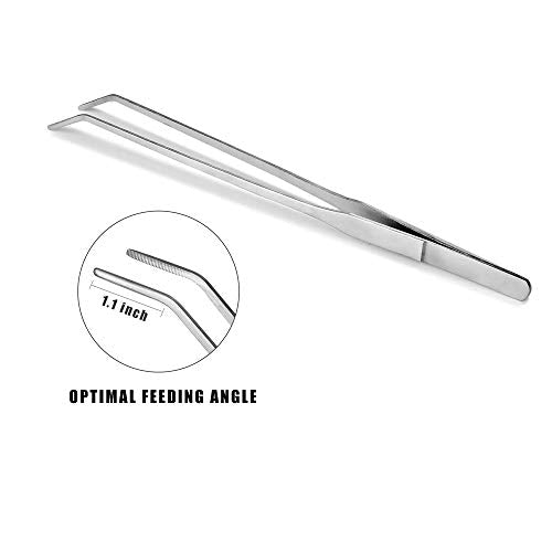 2Pcs Stainless Steel Reptile Feeding Long Tongs Tweezers for Reptile, Lizards, Gecko, Spider, Tarantula, Hedgehog, Snake, Aquarium