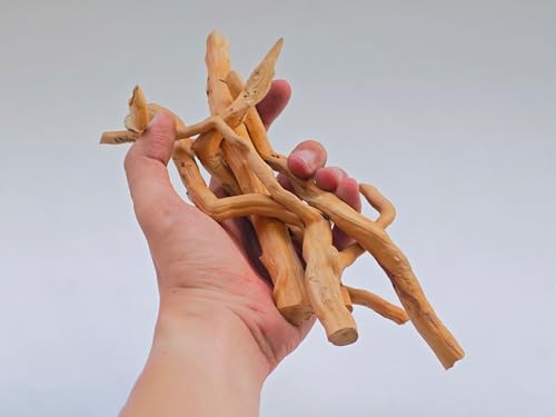 Azil Natural Driftwood Root Mix (5 pcs) – 100% Natural Driftwood for Aquarium, Reptiles, Terrariums, Vivariums, Aquascaping & Planted Tanks (Size: 7″–10″ / 17.8–25.4 cm) - size: root mix 7'' - 10''