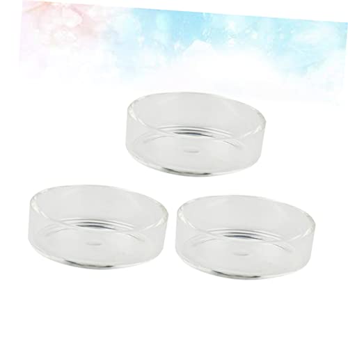 BESPORTBLE 3pcs Crystal Shrimp Feeding Bowl Durable Transparent Glass Shrimp Food Dish for Aquariums for Fish and Reptiles Enhances Tank Aesthetics