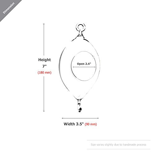 WGV Hanging Terrarium, Width 3.5", Height 7", Oblong, Double Hook, DIY Air Succulent Planter, Clear Glass Vase Orb, Candle Holder for Windowsill Outdoor Garden Decor, 6 Pieces Bulk - size: 7" Oblong Double Hook