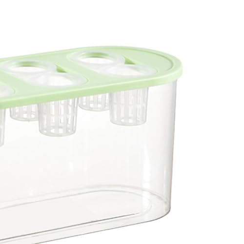 Hydroponic, Hydroponic System, Planting Container, 6 Holes, Indoor Tabletop Mini Aquarium for Plants and Fish, Green - color: Green