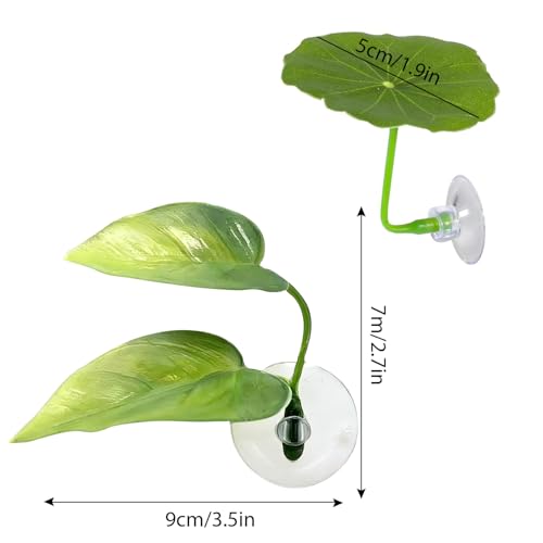 3 Pack Betta Fish Leaf Pad Improves Betta's Health by Simulating The Natural Habitat - Betta Fish Leaf Hammock, Natural, Comfortable Rest Area for Fish Aquarium Ornaments
