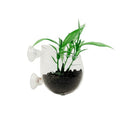 CTWPets Aquarium Suction Cup Plant Holder – Glass Wall Planter for Fish Tanks, Aquatic Plant Propagation Cup for Pothos and Live Aquarium Plants