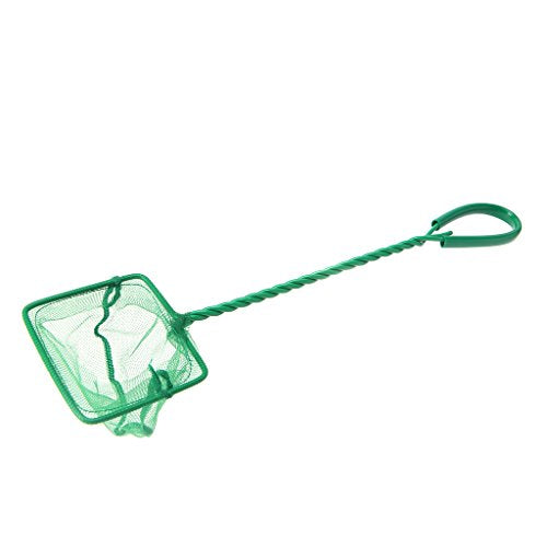 Fish Net for Fishing 3 4 5 6 8 10In Fine Net Aquariums Accessories for Fish and Shrimp Comfort Handle Aquariums Netting
