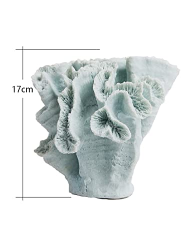 HAUCOZE Coral Decor Ocean Sculpture Statue Modern Home Art Table Centerpiece Gift for Living Room Bookshelf Polyresin 7.5 Inch