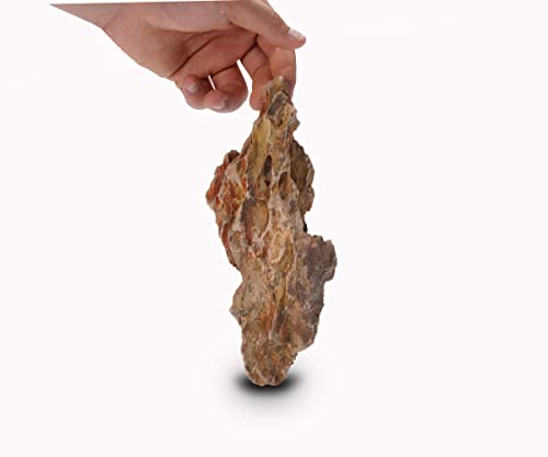 LANDEN Natural Dragon Stones (16lbs, 2~8 inches,7-8pcs) for Aquascaping Terrariums, Paludariums,Vivariums, Reptile and Amphibian Enclosures - size: 01 Dragon(Ohko) Stone(2-8inch,16lbs)