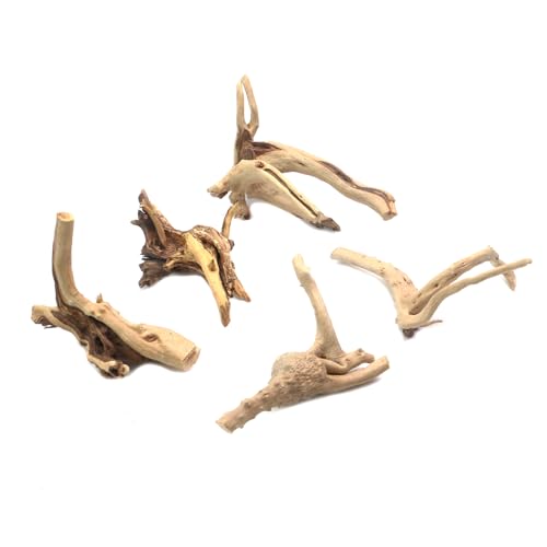 5Pcs Natural Cuckoo Wood for Aquarium, Aquarium Decor Wood Freshwater Fish Tank Reptile Driftwood Branch Length 3.93" to 5.9" - color: Natural Cuckoo Wood