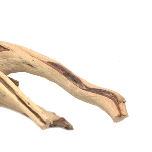 5Pcs Natural Cuckoo Wood for Aquarium, Aquarium Decor Wood Freshwater Fish Tank Reptile Driftwood Branch Length 3.93" to 5.9" - color: Natural Cuckoo Wood