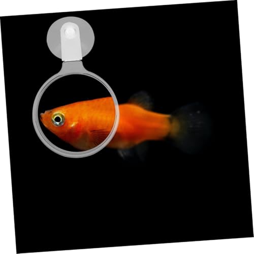 Abaodam Acrylic Fish Tank Magnifying Glass with Strong Suction Cup for Clear Observation of Small Animals Plants and Micro Landscapes in Aquariums and Home Tanks
