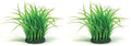 biOrb Grass Ring, Medium (Pack of 2) - size: Medium (Pack of 2)