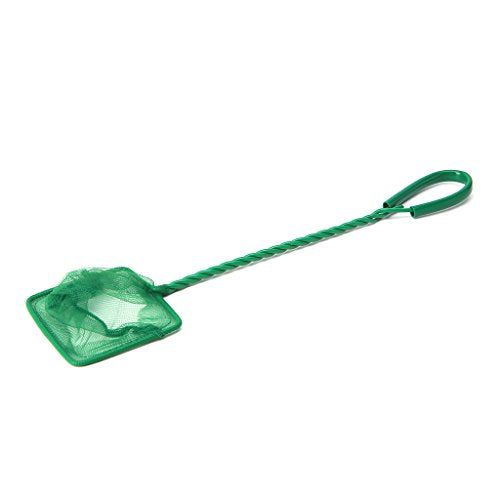 Fish Net for Fishing 3 4 5 6 8 10In Fine Net Aquariums Accessories for Fish and Shrimp Comfort Handle Aquariums Netting