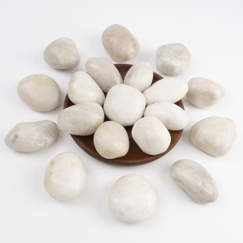 River Rocks - Natural Polished White Pebbles, 2-3 inches, 10 lbs - Ideal for Patio Landscaping, Rock Gardens, Succulent Arrangements, and Pathway Edging (White, Weight: 10 LB) - color: White, size: Weight: 10 LB