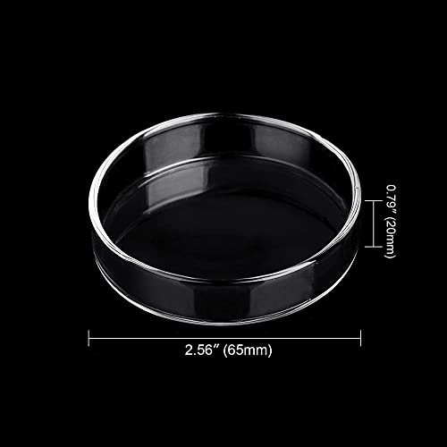 Aquarium Glass Feeder Dish Shrimp Feeding Dish Round Clear Glass Fish Feeder Bowl Fish Tank Food Tray Container Prevent Food Spilling, 65mm