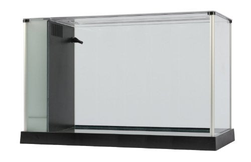 Fluval SPEC Aquarium Kit, Aquarium with LED Lighting and 3-Stage Filtration System, 5-Gallon - color: Black, size: 5 Gal.
