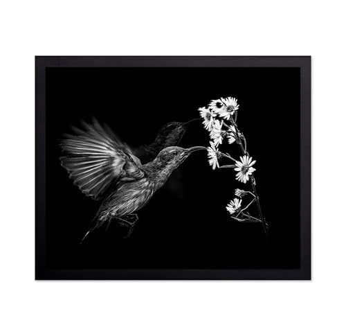 Monem Art Hummingbird & Cluster of Daisies Print - Motion Poster - Wildlife & Nature Art - Floral Living Room or Office Decor - 12x16 Unframed Wall Art by Andi Halil - color: Style-08, size: 12"L x 16"W