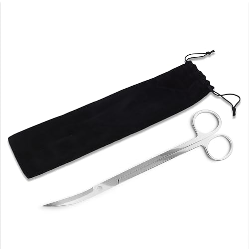 Mandala Crafts 12 Inches Silver Stainless Steel Curved Aquarium Scissors for Trimming Aquatic Plants – Bent Aquascape Scissors for Fish Tanks, Hospital Tanks, Goldfish Bowls, and Terrariums - color: Stainless Steel Curved Scissors, size: 12 Inches