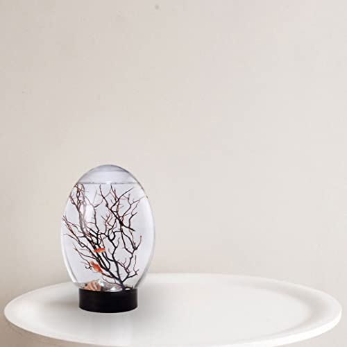 Mini Aquarium, Ecosphere Closed Aquatic Ecosystem Desktop Aquarium with LED Light & Revolving Base, No Need to Feed & Change Water Fish Tank Decor for Home Office (Black)