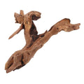 POPETPOP Natural Driftwood for Aquarium Decor - 9.8×5.9" Unique Wood Branch Fish Tank Decorations & Reptile Tank Accessories, Drift Wood Log for Leopard Gecko Terrarium Accessories