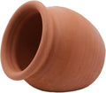 Saim Aquarium Ceramic Cave for Fish Tank - Natural Clay Pot Hideout Decor for Betta, Shrimp, Cichlid, Small Fish Breeding & Hiding, Cute Hideout Cave Ornament Aquatic Habitat - Small - size: Small