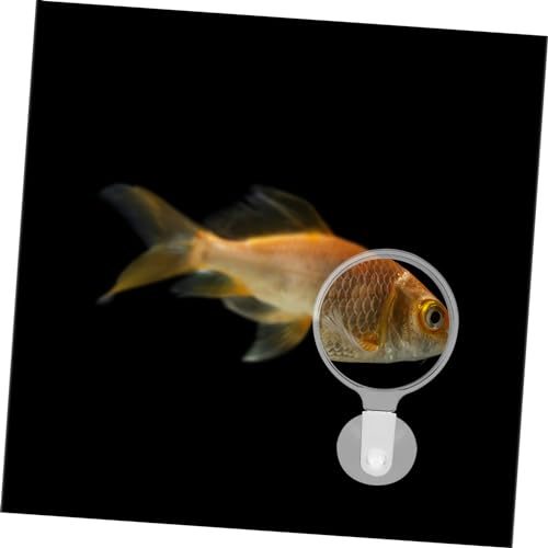 Toddmomy Aquarium Glass Acrylic Plant Observation Tool Cup for Betta Fish and Small Animal Viewing Freshwater and Tanks