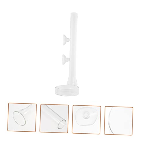 UPKOCH 1Set Fish Feeder with Cup Durable Shrimp Dish Premium Aquarium Elegant Design for Shrimp Tanks and Fish Tanks