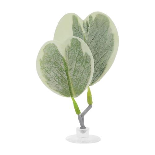 Betta Fish Bed, Betta Leaf Bed, Plastic Betta Heart-Shaped Hammock, Betta Hammock Pad with Suction Cup, Betta Fish Resting Place Betta Fish Supplies Aquarium Decor, Light Green - color: Light Green
