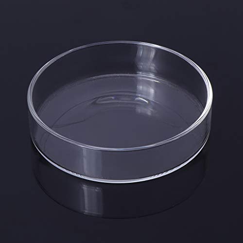 Shrimp Feeder Glass Feeding Dish Aquarium Fish For Tank Reptiles Round Clear Food Bowl 6cm-9.8cm Transparent Modern Floating Design Fish Feeder Feeding Dish