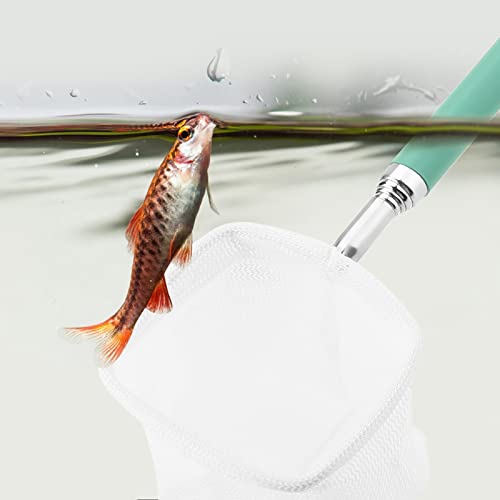 Rengue Fishing Net Aquarium Fish Net, Fish Tank Shrimp for Shrimp Tank and Accessories - color: Green, size: Square mouth