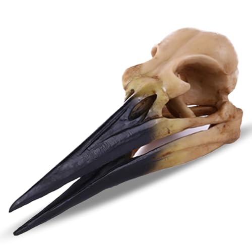 Fish Cave Hideout Ornament Décor for Terrarium Dinosaur Animal Skull Aquarium Large Decorations Betta Tarantula Reptile Snake Decor Bones Halloween - color: Pterosaur