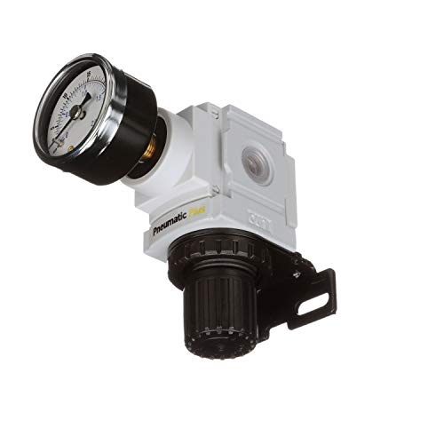 PneumaticPlus PPR2-N02BG-2 Miniature Air Pressure Regulator 1/4" NPT - Gauge, Bracket, Instrument Pressure (3-30 PSI) - size: 1/4" NPT (3-30 PSI)