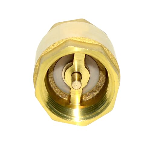 DAN SPEED Brass Check Valve,Female Thread Spring Check Valve,One Way Horizontal Check Valves for Backflow Prevention,Well, Pump, Tank ((DN25) 1'')