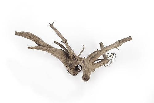 LANDEN Natural Spider Wood Aquarium Decorative Fish Tank Decorations, Driftwood Branches (12-16 Inch, XL) 4 Pcs - size: XL(12~16 inches, 30-40cm), 4pcs